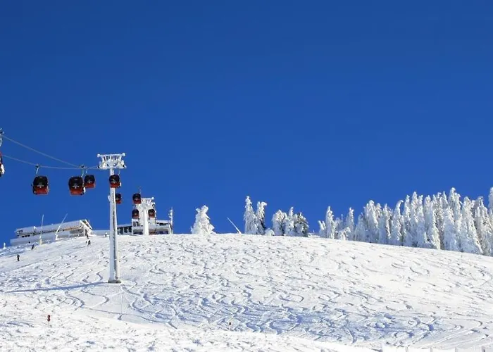 Elisabeth Casa de hóspedes Westendorf